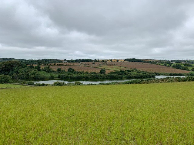 Green Field